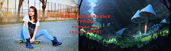 молекула духа Костерёво
