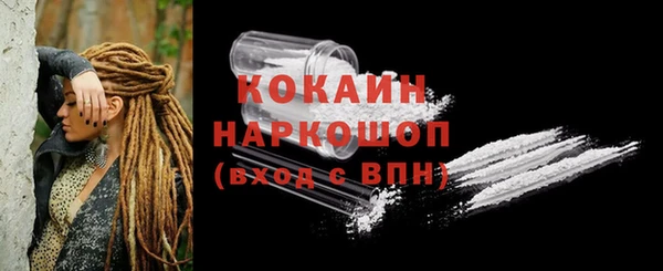 молекула духа Костерёво