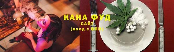 молекула духа Костерёво