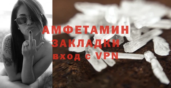 трава Коряжма