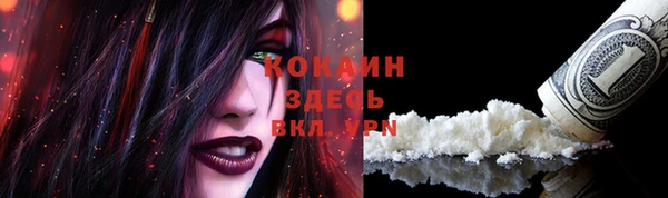 первитин Козловка