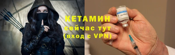 трава Коряжма