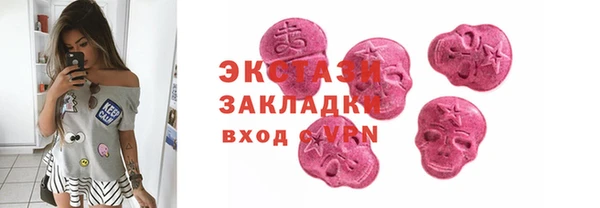 крисы Козельск