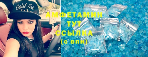 крисы Козельск