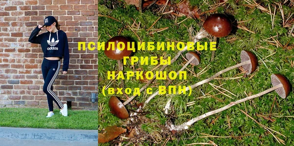 первитин Козловка