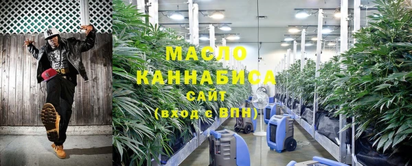трава Коряжма